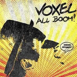 CD Voxel-All boom!