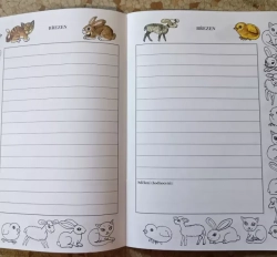 Notebook of a small schoolboy 1st grade