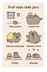 Pusheen - Já, košišta - Claire Belton