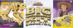 Big archeologic kit skeleton - Tyrannosaurus Rex